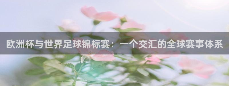 足球世界杯预选赛:欧洲杯与世界足球锦标赛:一个交汇的全球赛事体系