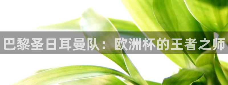 世界杯直播高清:巴黎圣日耳曼队:欧洲杯的王者之师