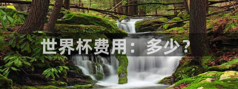 预选赛世界杯:世界杯费用:多少?