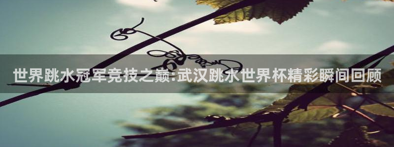 2026世界杯足球赛程时间表:世界跳水冠军竞技之巅:武汉跳水世界杯精彩瞬间回顾