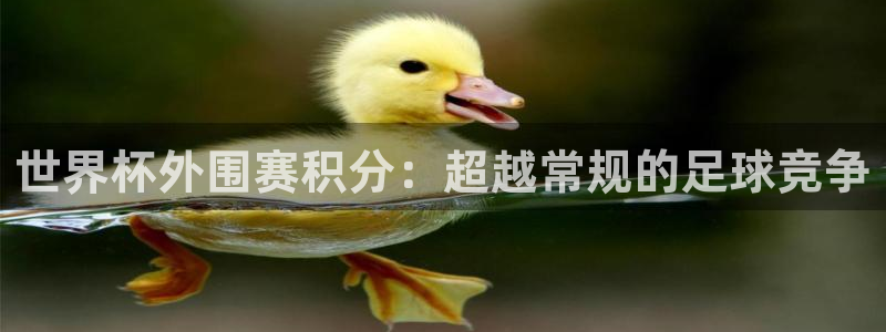 2026世界杯:世界杯外围赛积分:超越常规的足球竞争