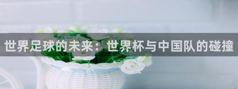 世界杯预选赛赛程表:世界足球的未来:世界杯与中国队的碰撞